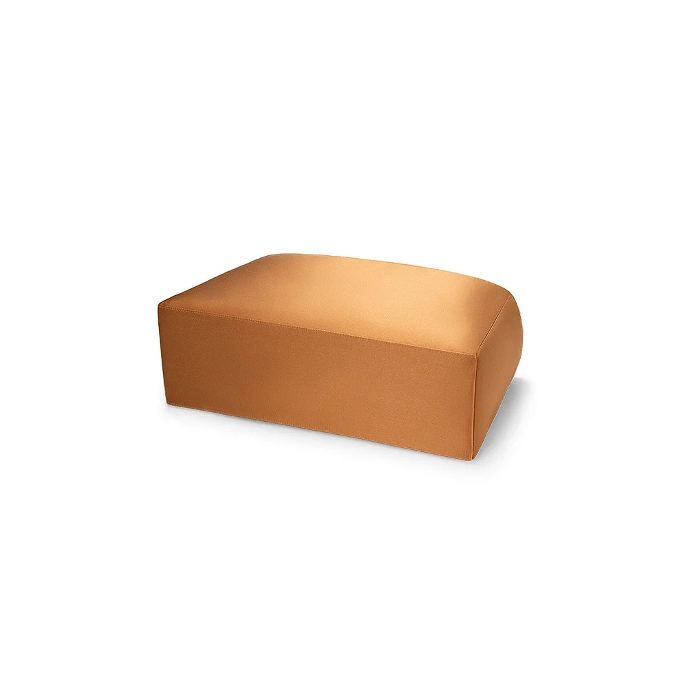 Acetate Satin Organizer for Celine Horizontal Cabas In Triomphe